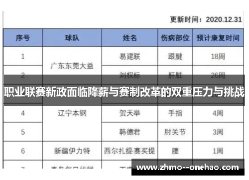 职业联赛新政面临降薪与赛制改革的双重压力与挑战