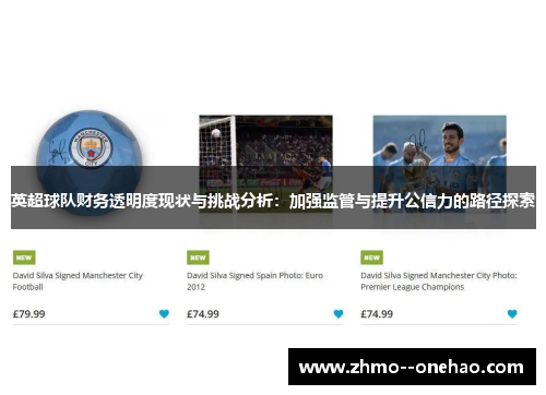 英超球队财务透明度现状与挑战分析：加强监管与提升公信力的路径探索
