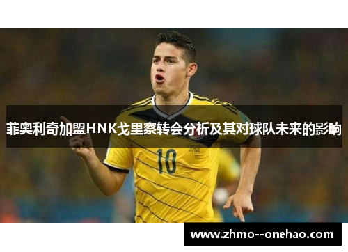 菲奥利奇加盟HNK戈里察转会分析及其对球队未来的影响 菲奥利奇加盟HNK戈里察转会分析及其对球队未来的影响