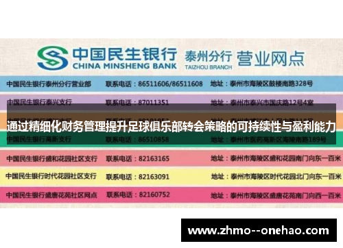 通过精细化财务管理提升足球俱乐部转会策略的可持续性与盈利能力