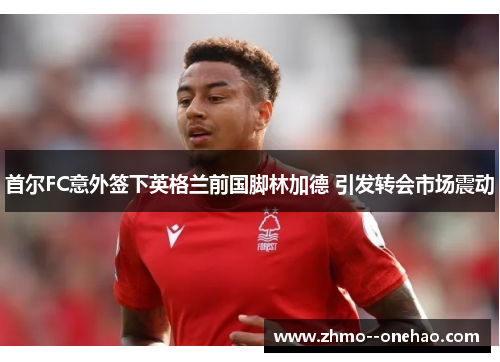首尔FC意外签下英格兰前国脚林加德 引发转会市场震动 首尔FC意外签下英格兰前国脚林加德 引发转会市场震动